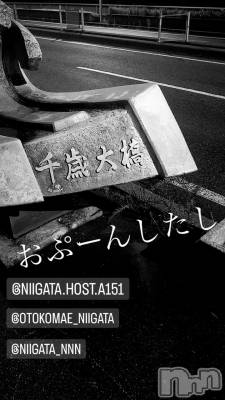 ��Į�ۥ��ȡ��ܡ������С�A151(�����������ݥ���) �褦(18)��11��4���̥�֥�������������