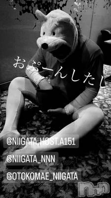 ��Į�ۥ��ȡ��ܡ������С�A151(�����������ݥ���) �褦(18)��11��6���̥�֥����ַ�������