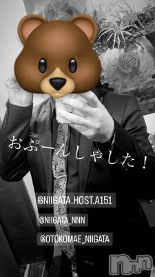 ��Į�ۥ��ȡ��ܡ������С�A151(�����������ݥ���) �褦(18)��11��10���̥�֥����ֶ�������