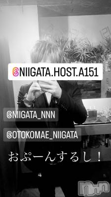 ��Į�ۥ��ȡ��ܡ������С�A151(�����������ݥ���) �褦(18)��11��12���̥�֥�������������