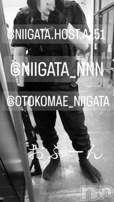 ��Į�ۥ��ȡ��ܡ������С�A151(�����������ݥ���) �褦(18)��11��15���̥�֥����ֿ�������