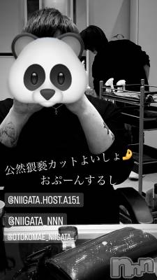 ��Į�ۥ��ȡ��ܡ������С�A151(�����������ݥ���) �褦(18)��11��16���̥�֥�������������