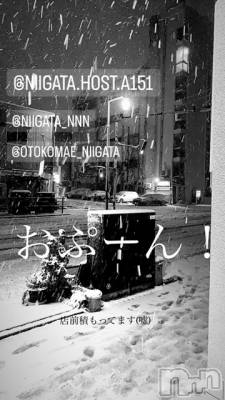 ��Į�ۥ��ȡ��ܡ������С�A151(�����������ݥ���) �褦(18)��11��18���̥�֥�������������