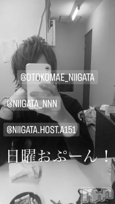 ��Į�ۥ��ȡ��ܡ������С�A151(�����������ݥ���) �褦(18)��11��19���̥�֥�������������