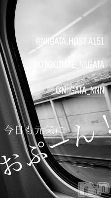 ��Į�ۥ��ȡ��ܡ������С�A151(�����������ݥ���) �褦(18)��11��25���̥�֥�������������