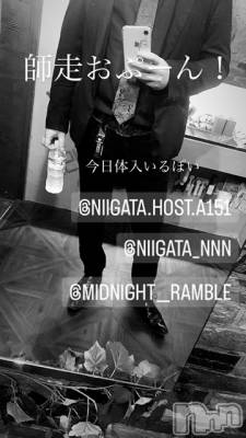 ��Į�ۥ��ȡ��ܡ������С�A151(�����������ݥ���) �褦(18)��12��2���̥�֥�������������