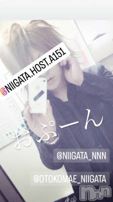 ��Į�ۥ��ȡ��ܡ������С�A151(�����������ݥ���) �褦(18)��12��3���̥�֥�������������