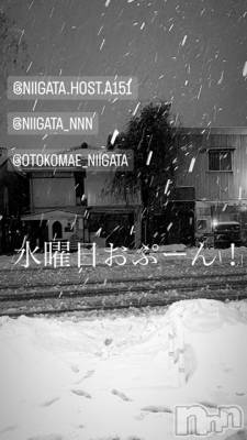 ��Į�ۥ��ȡ��ܡ������С�A151(�����������ݥ���) �褦(18)��12��6���̥�֥����ֿ�������