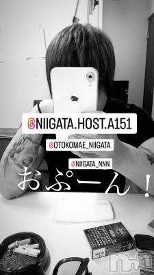 ��Į�ۥ��ȡ��ܡ������С�A151(�����������ݥ���) �褦(18)��12��13���̥�֥����ֿ�������