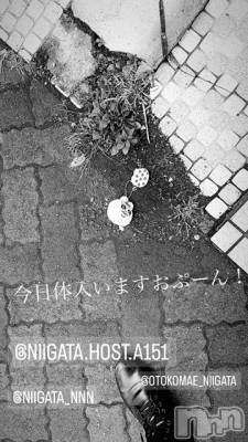 ��Į�ۥ��ȡ��ܡ������С�A151(�����������ݥ���) �褦(18)��12��16���̥�֥�������������