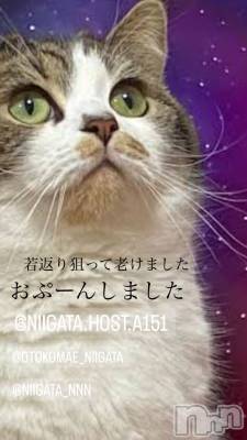 ��Į�ۥ��ȡ��ܡ������С�A151(�����������ݥ���) �褦(18)��12��28���̥�֥�������������