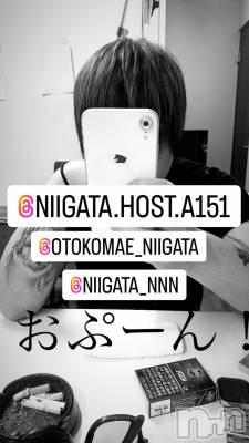 ��Į�ۥ��ȡ��ܡ������С�A151(�����������ݥ���) �褦(18)��1��6���̥�֥�������������