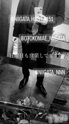 ��Į�ۥ��ȡ��ܡ������С�A151(�����������ݥ���) �褦(18)��1��7���̥�֥�������������