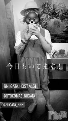 ��Į�ۥ��ȡ��ܡ������С�A151(�����������ݥ���) �褦(18)��1��12���̥�֥����ֶ�������