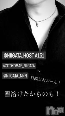 ��Į�ۥ��ȡ��ܡ������С�A151(�����������ݥ���) �褦(18)��1��14���̥�֥�������������