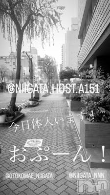 ��Į�ۥ��ȡ��ܡ������С�A151(�����������ݥ���) �褦(18)��1��19���̥�֥����ֶ�������