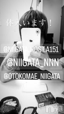 ��Į�ۥ��ȡ��ܡ������С�A151(�����������ݥ���) �褦(18)��1��21���̥�֥�������������