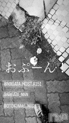 ��Į�ۥ��ȡ��ܡ������С�A151(�����������ݥ���) �褦(18)��1��22���̥�֥����ַ�������