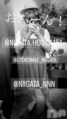 ��Į�ۥ��ȡ��ܡ������С�A151(�����������ݥ���) �褦(18)��1��27���̥�֥�������������