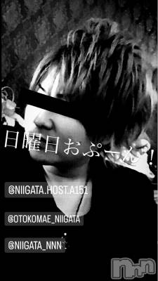 ��Į�ۥ��ȡ��ܡ������С�A151(�����������ݥ���) �褦(18)��1��28���̥�֥�������������