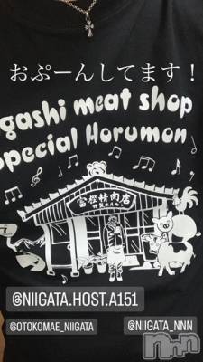 ��Į�ۥ��ȡ��ܡ������С�A151(�����������ݥ���) �褦(18)��2��3���̥�֥�������������