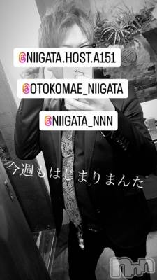 ��Į�ۥ��ȡ��ܡ������С�A151(�����������ݥ���) �褦(18)��2��7���̥�֥����ֿ�������