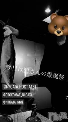 ��Į�ۥ��ȡ��ܡ������С�A151(�����������ݥ���) �褦(18)��2��14���̥�֥����ֿ�������