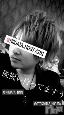 ��Į�ۥ��ȡ��ܡ������С�A151(�����������ݥ���) �褦(18)��2��16���̥�֥����ֶ�������