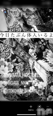 ��Į�ۥ��ȡ��ܡ������С�A151(�����������ݥ���) �褦(18)��2��17���̥�֥�������������