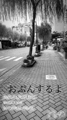 ��Į�ۥ��ȡ��ܡ������С�A151(�����������ݥ���) �褦(18)��2��19���̥�֥����ַ�������