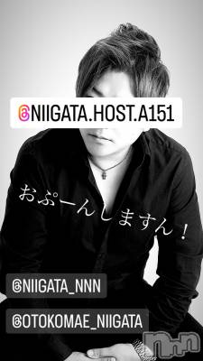 ��Į�ۥ��ȡ��ܡ������С�A151(�����������ݥ���) �褦(18)��2��21���̥�֥����ֿ�������