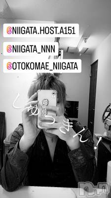 ��Į�ۥ��ȡ��ܡ������С�A151(�����������ݥ���) �褦(18)��3��2���̥�֥�������������