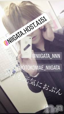 ��Į�ۥ��ȡ��ܡ������С�A151(�����������ݥ���) �褦(18)��3��7���̥�֥�������������