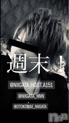 ��Į�ۥ��ȡ��ܡ������С�A151(�����������ݥ���) �褦(18)��3��9���̥�֥�������������