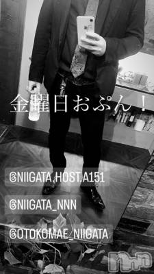 ��Į�ۥ��ȡ��ܡ������С�A151(�����������ݥ���) �褦(18)��3��15���̥�֥����ֶ�������