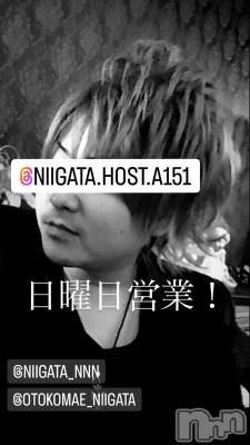 ��Į�ۥ��ȡ��ܡ������С�A151(�����������ݥ���) �褦(18)��3��24���̥�֥�������������