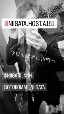 ��Į�ۥ��ȡ��ܡ������С�A151(�����������ݥ���) �褦(18)��3��28���̥�֥�������������