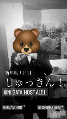 ��Į�ۥ��ȡ��ܡ������С�A151(�����������ݥ���) �褦(18)��4��3���̥�֥����ֿ�������