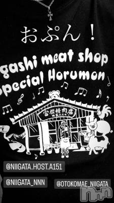 ��Į�ۥ��ȡ��ܡ������С�A151(�����������ݥ���) �褦(18)��4��4���̥�֥�������������