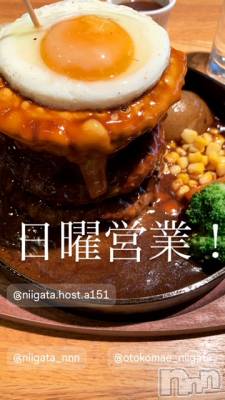 ��Į�ۥ��ȡ��ܡ������С�A151(�����������ݥ���) �褦(18)��4��7���̥�֥�������������