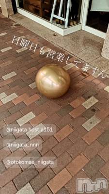 ��Į�ۥ��ȡ��ܡ������С�A151(�����������ݥ���) �褦(18)��4��14���̥�֥�������������