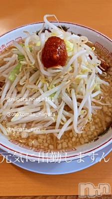 ��Į�ۥ��ȡ��ܡ������С�A151(�����������ݥ���) �褦(18)��4��24���̥�֥����ֿ�������