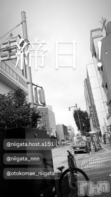 ��Į�ۥ��ȡ��ܡ������С�A151(�����������ݥ���) �褦(18)��4��28���̥�֥�������������