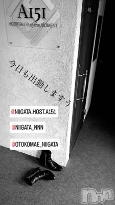 ��Į�ۥ��ȡ��ܡ������С�A151(�����������ݥ���) �褦(18)��5��9���̥�֥�������������