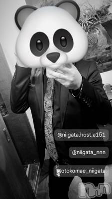 ��Į�ۥ��ȡ��ܡ������С�A151(�����������ݥ���) �褦(18)��5��10���̥�֥����ֶ�������