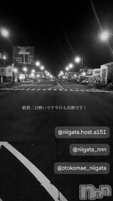 ��Į�ۥ��ȡ��ܡ������С�A151(�����������ݥ���) �褦(18)��5��11���̥�֥�������������