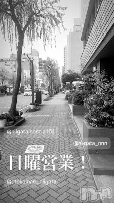 ��Į�ۥ��ȡ��ܡ������С�A151(�����������ݥ���) �褦(18)��5��12���̥�֥�������������