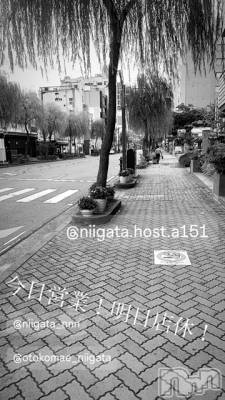 ��Į�ۥ��ȡ��ܡ������С�A151(�����������ݥ���) �褦(18)��5��13���̥�֥����ַ�������