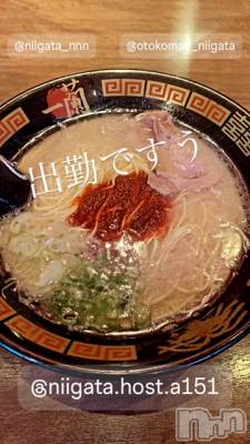 ��Į�ۥ��ȡ��ܡ������С�A151(�����������ݥ���) �褦(18)��5��15���̥�֥����ֿ�������