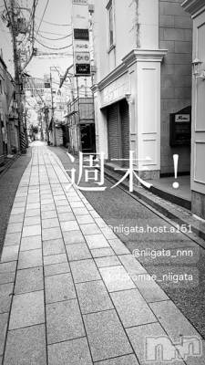 ��Į�ۥ��ȡ��ܡ������С�A151(�����������ݥ���) �褦(18)��5��18���̥�֥�������������